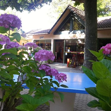 Camping Les Sources سان جان دو جارد المظهر الخارجي الصورة